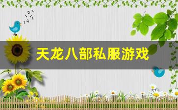 天龙八部私服游戏(天龙八部游戏官网首页) (2)