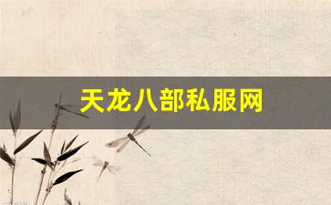 天龙八部私服网 (14)